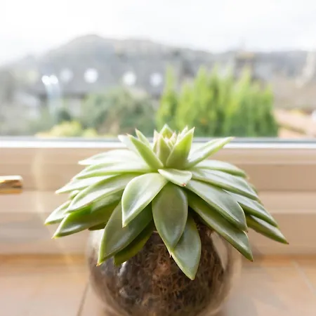 Holiday home Hidden Gem